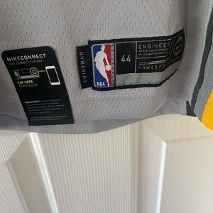 Authentic new LBJ Lakers The Land jersey